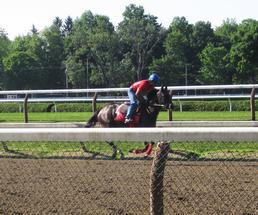 horse working out at saratoga