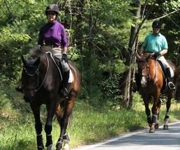people horseback riding