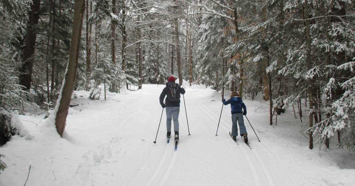 an adult and a kid cross country skiing