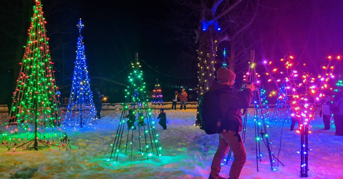 man takes photo of Christmas trees