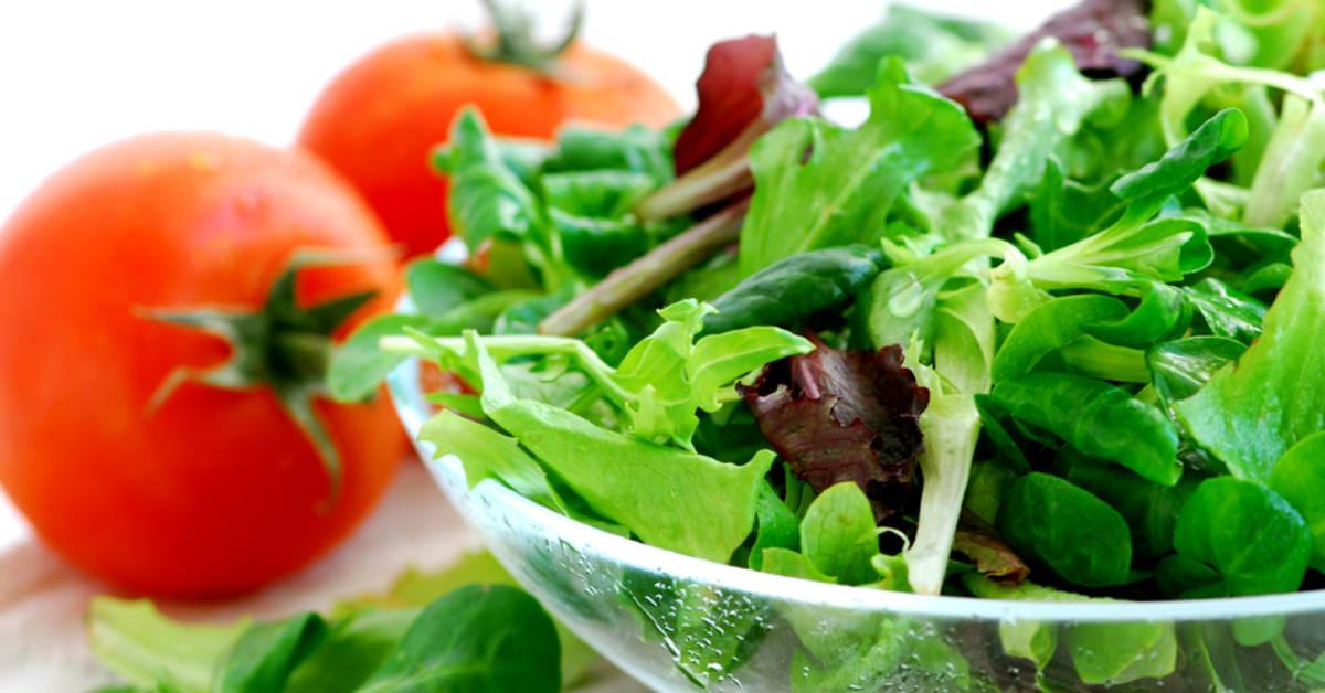 a garden salad and tomatoes