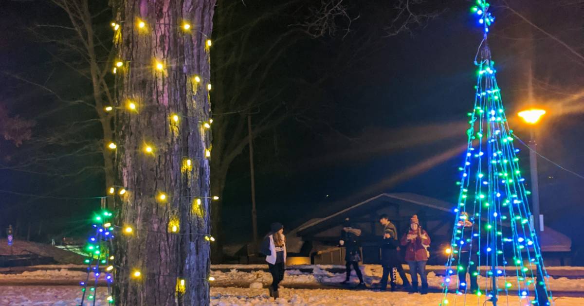 lit up holiday tree displays