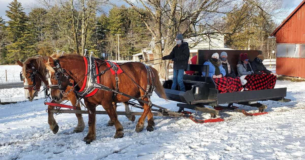 group of people on a sleigh ride pulled by two brown horses