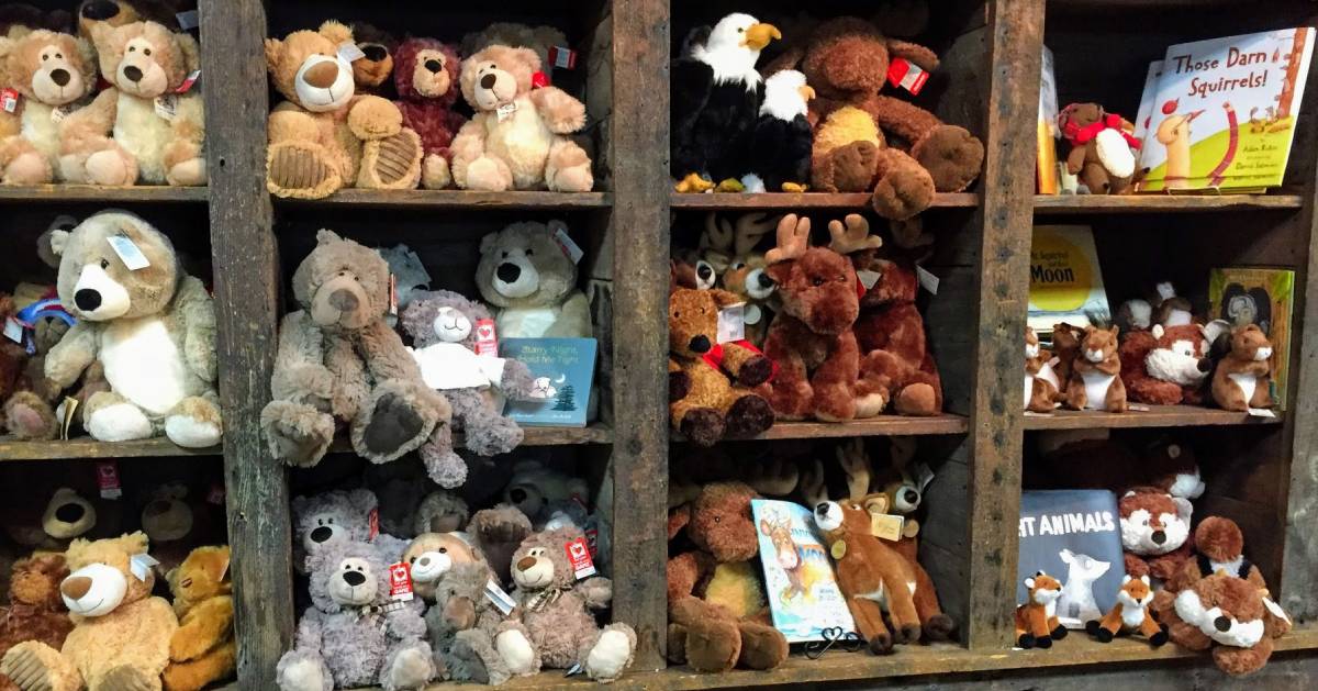 stuffed bears and books on shelves