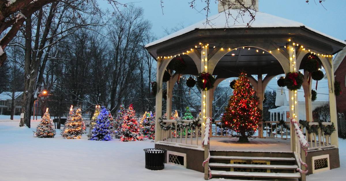 christmas trees with lights outdoors by gazebo