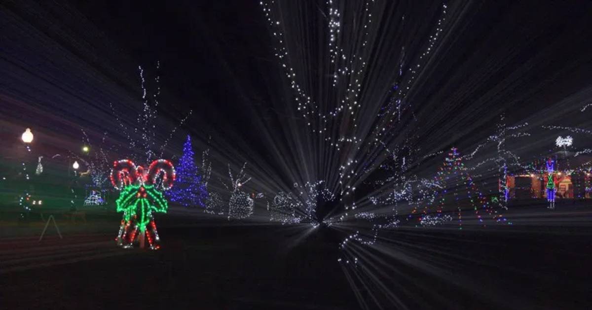 holiday lights in a park