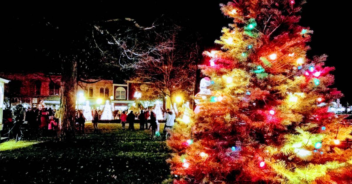 christmas tree with lights in a park at night