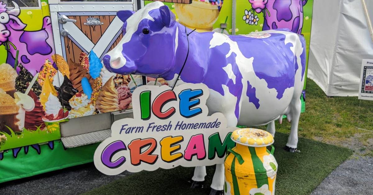 purple fake cow advertising ice cream