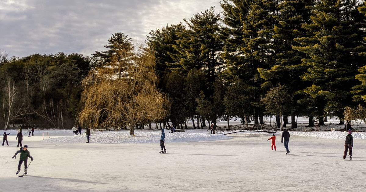 people ice skating on a pond