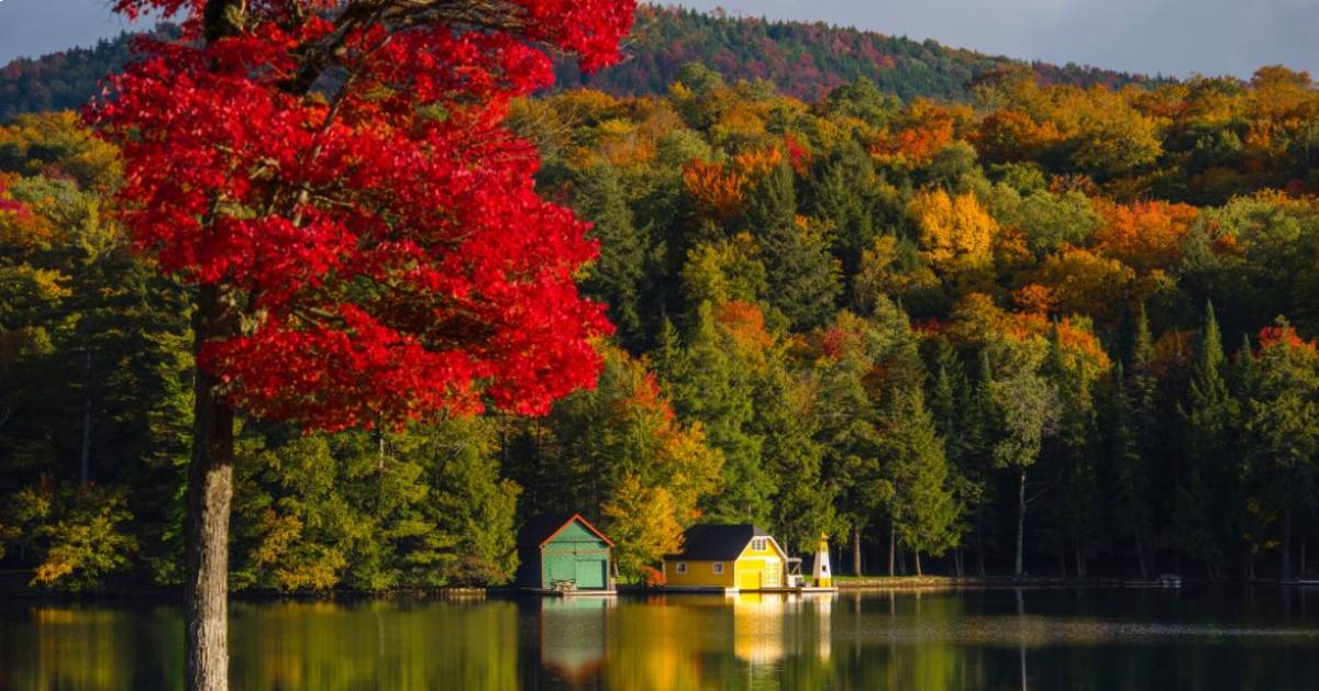 fall scene by lake
