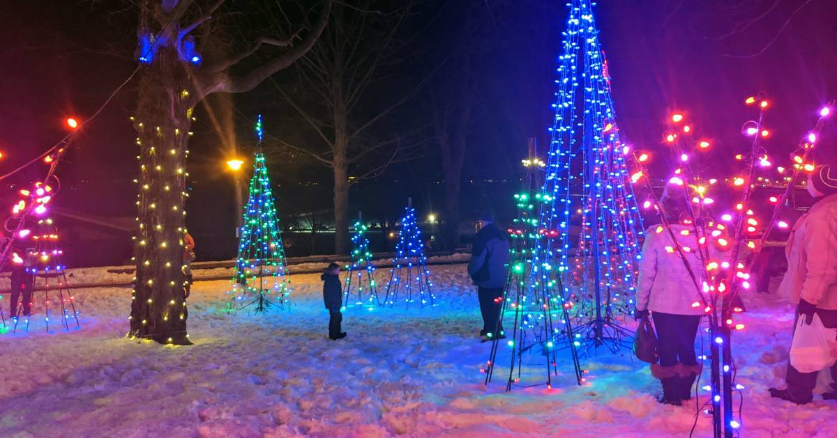 park lit up with festive lights