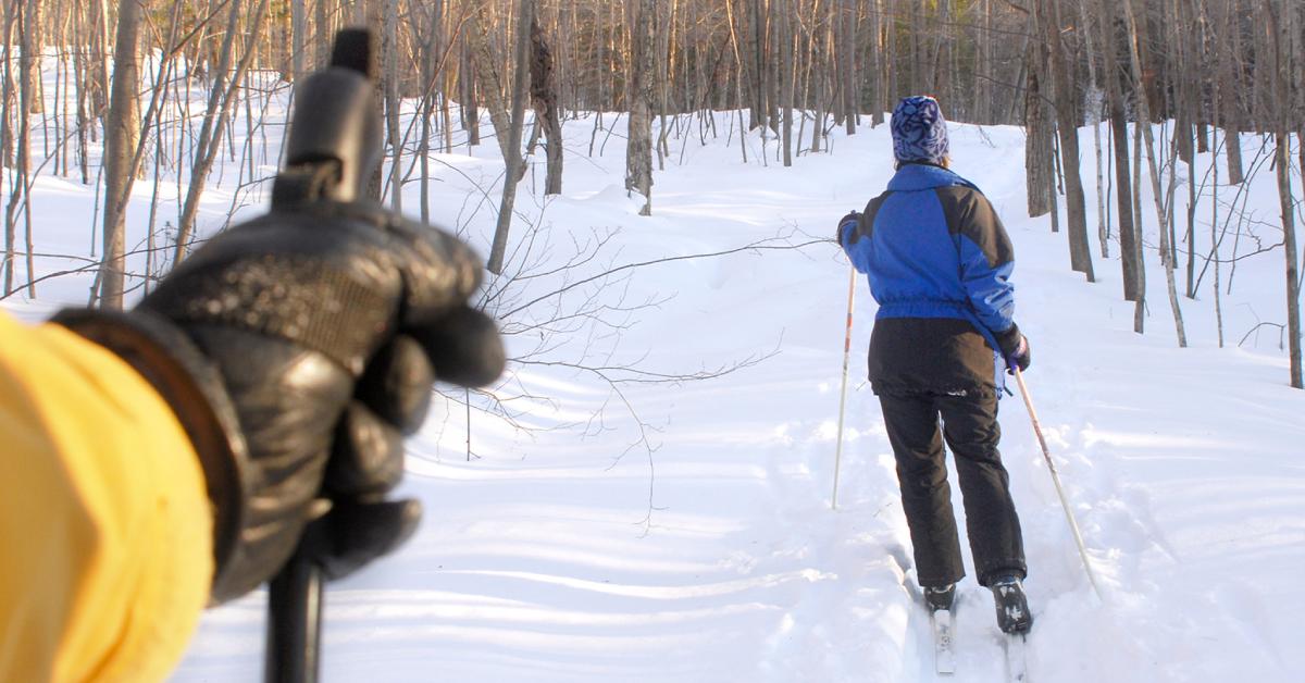 two cross country skiers