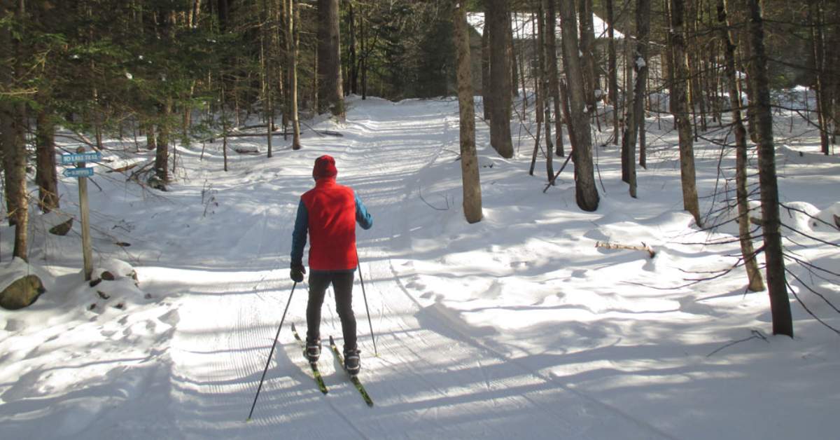 cross country skier in red jacket