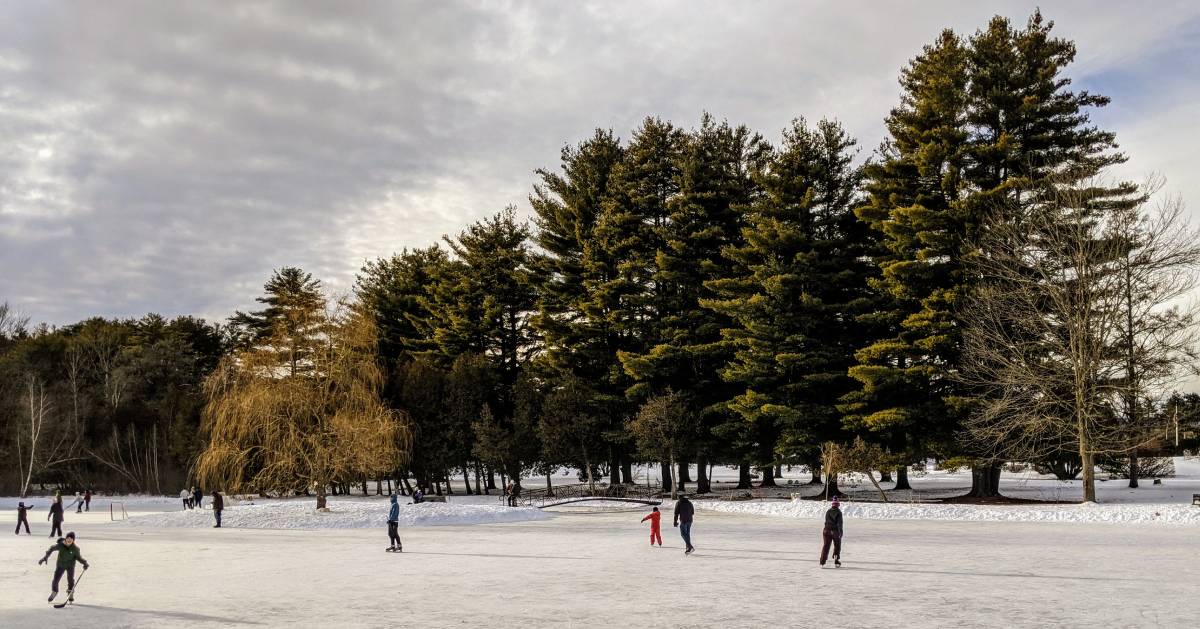 ice skating on a pond