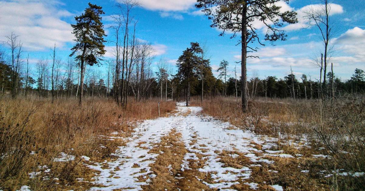 trail with light snow on the ground