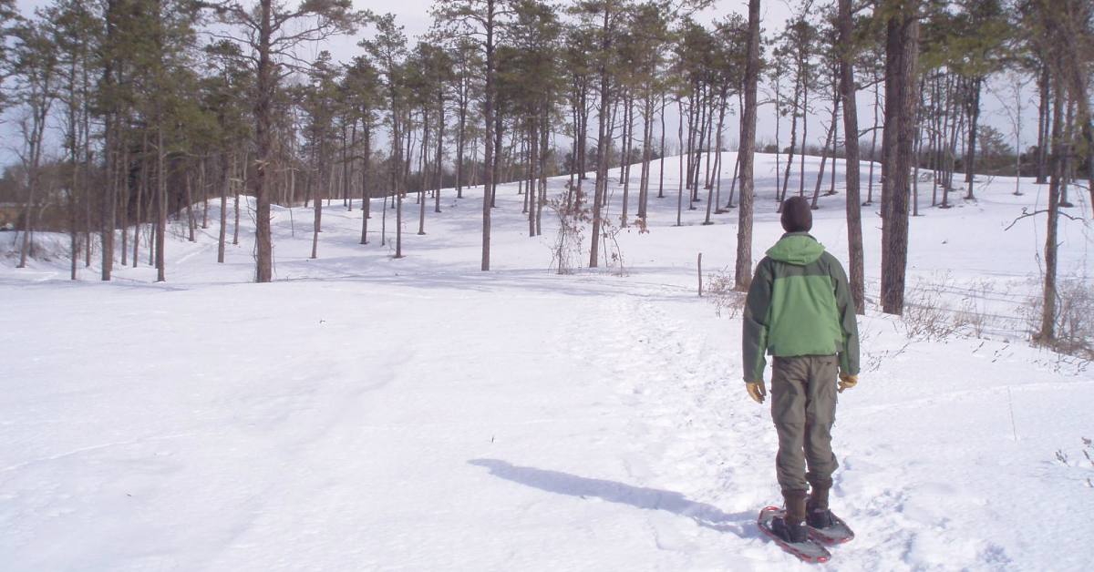 a man wearing snowshoes looking at forest