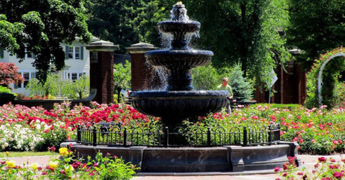 large fountain and rose garden