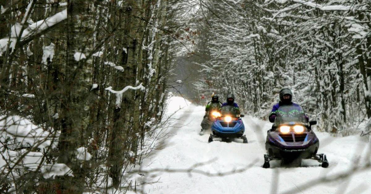 line of snowmobilers going down a trail