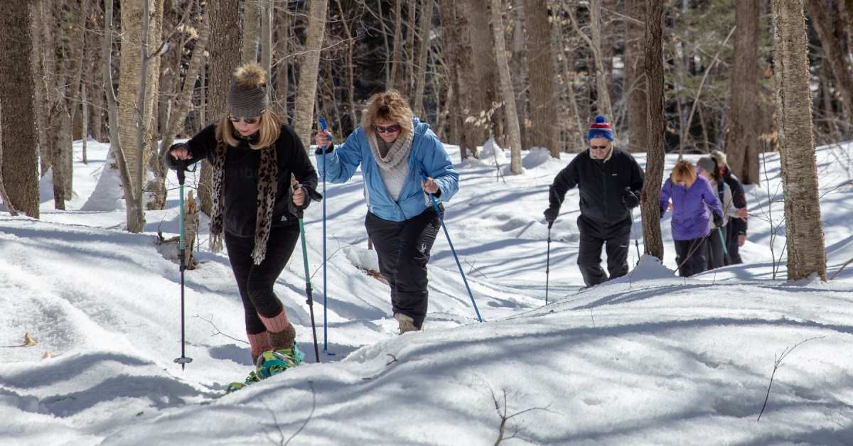 group of snowshoers in the woods