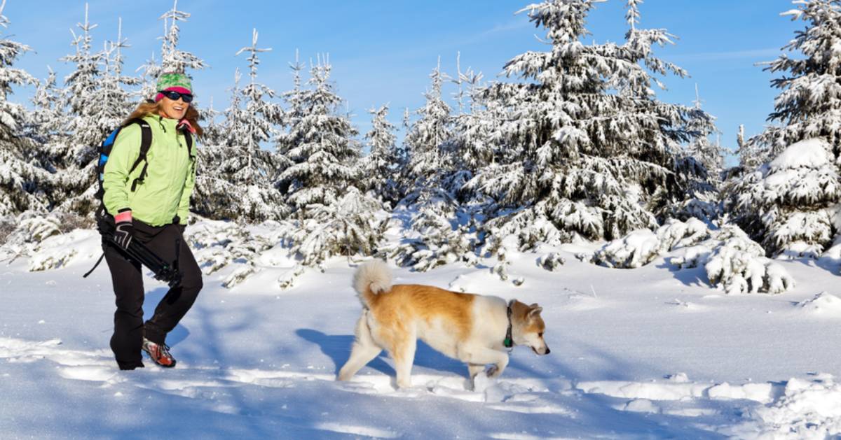 a woman hiking in the winter with her dog