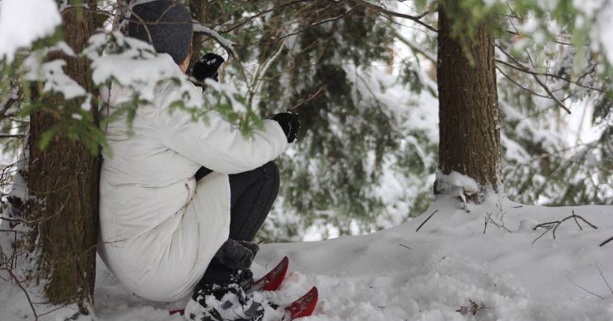 woman in the woods in the winter