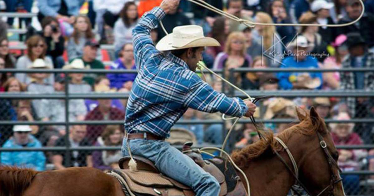 cowboy in a rodeo event