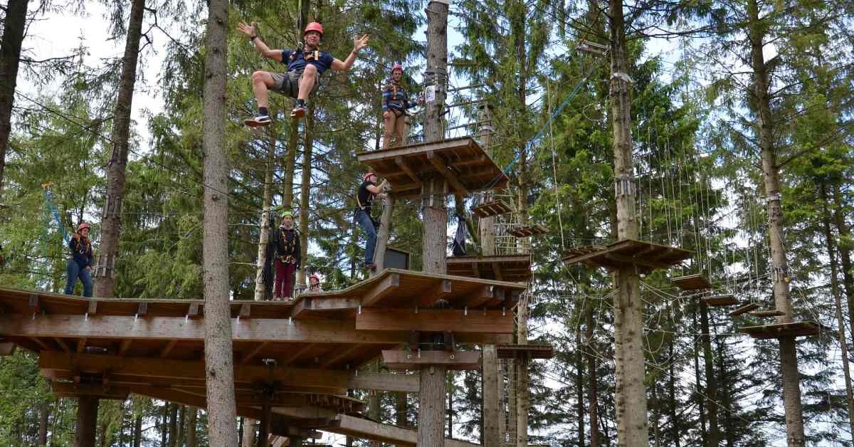 people on a treetop attraction