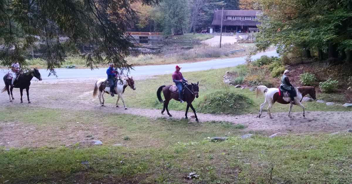 four people horseback riding on a trail