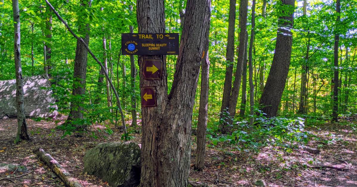trail markers in woods