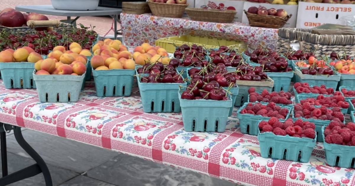 fruits on display on market table