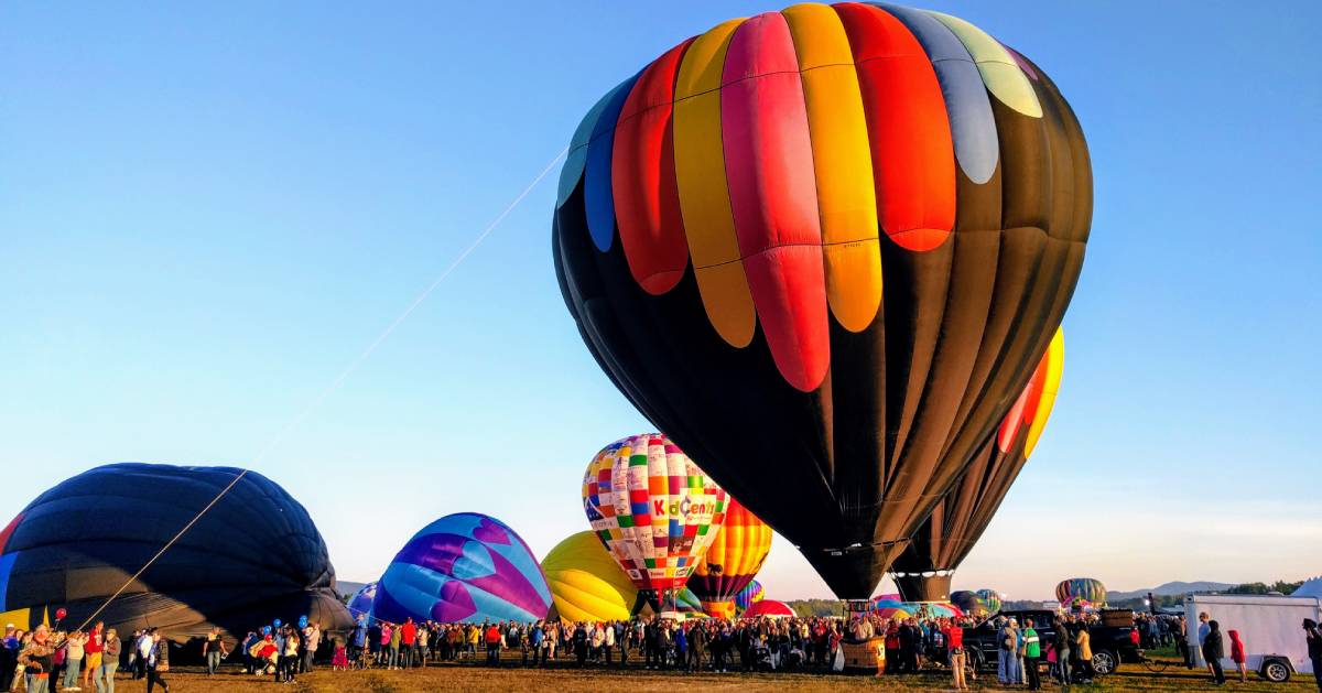 hot air balloons and crowd