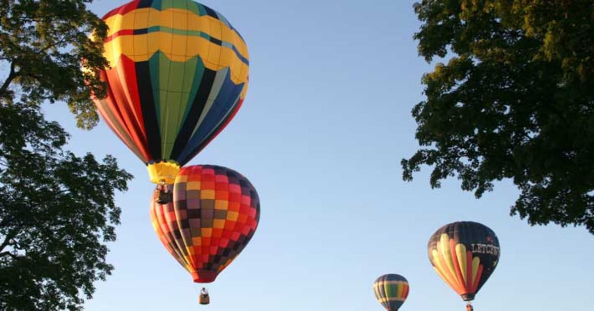 hot air balloons in the sky