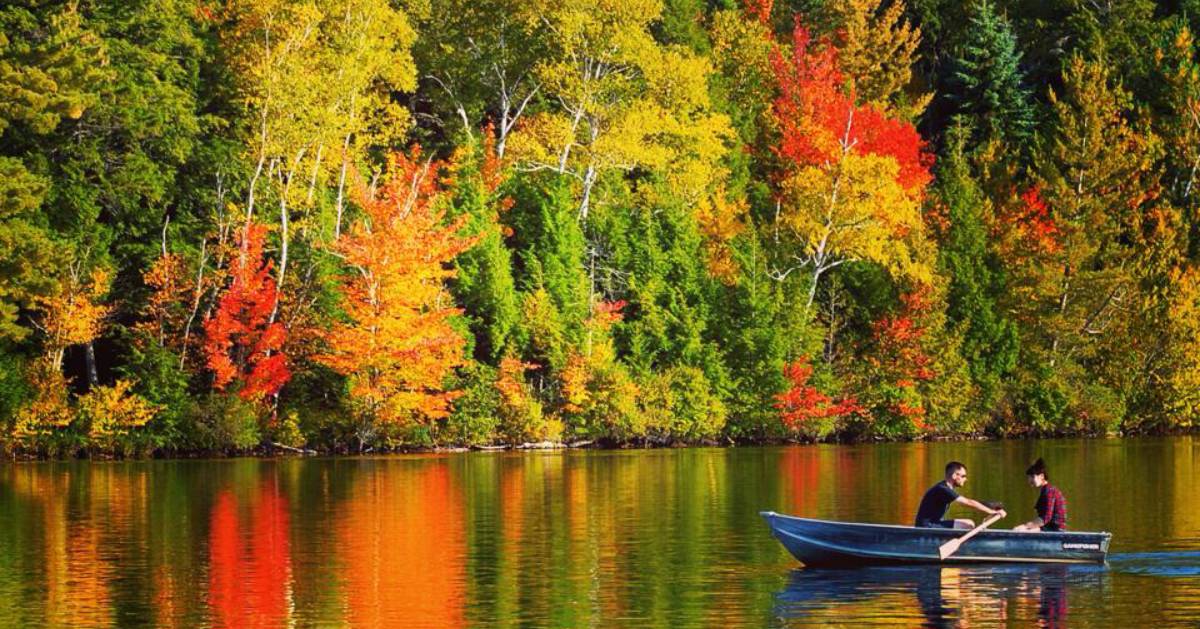a man and woman rowing a rowboat on a lake with fall foliage in the background