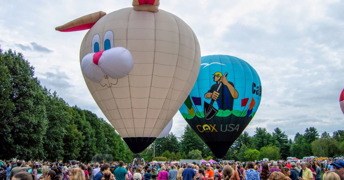 hot air balloons, including a bunny