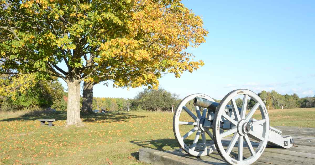 cannon by a tree in a park