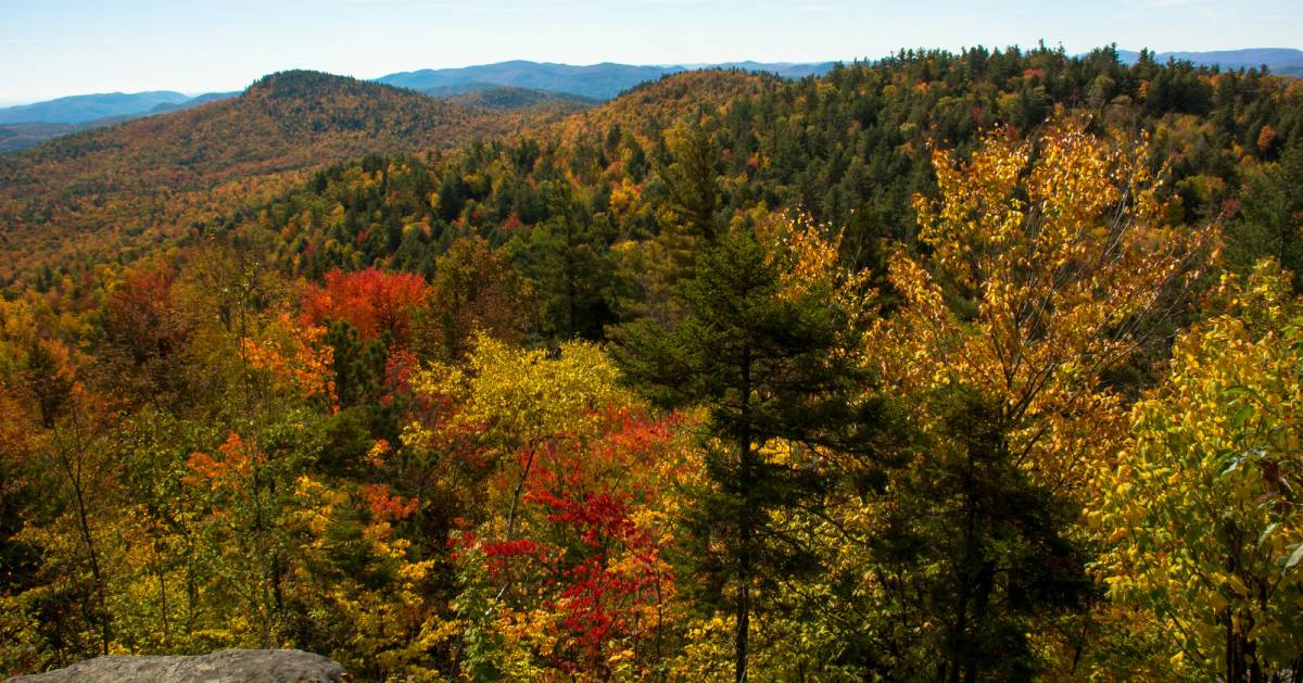 fall foliage from summit