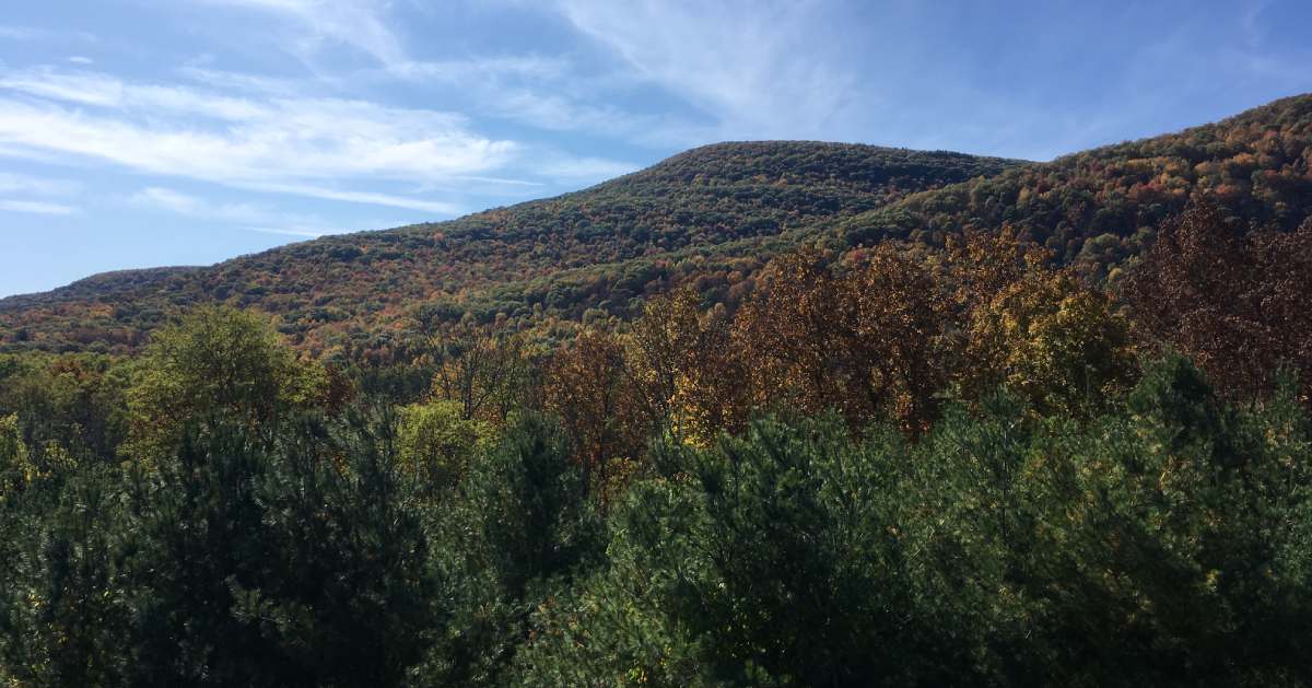 view of mountain with fall colors