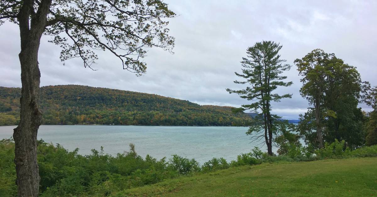 fall colors on trees near a lake