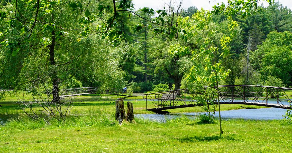 two walking bridges in a park