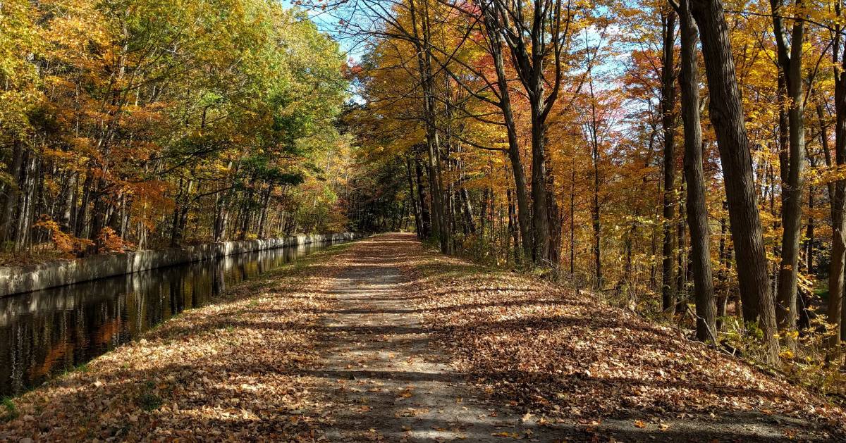 bike trail in the fall