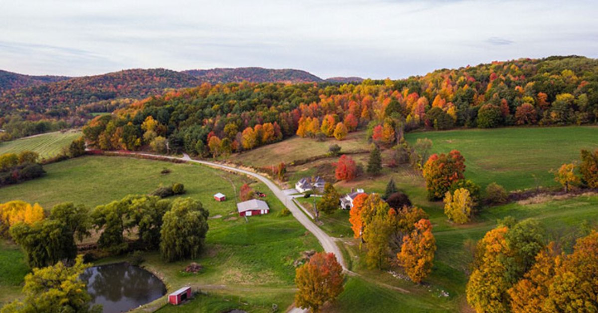 aerial view of autumn road