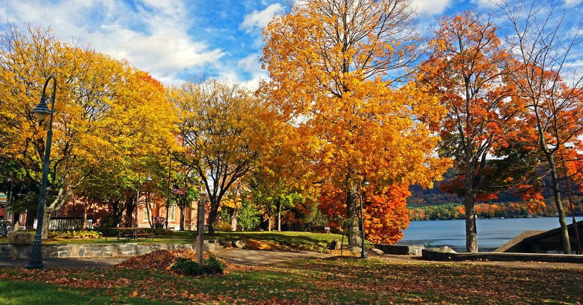 fall foliage in Shepard Park