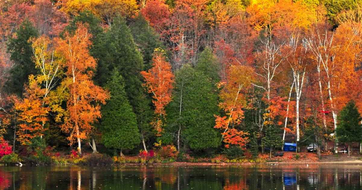 vivid orange and yellow foliage by a lake