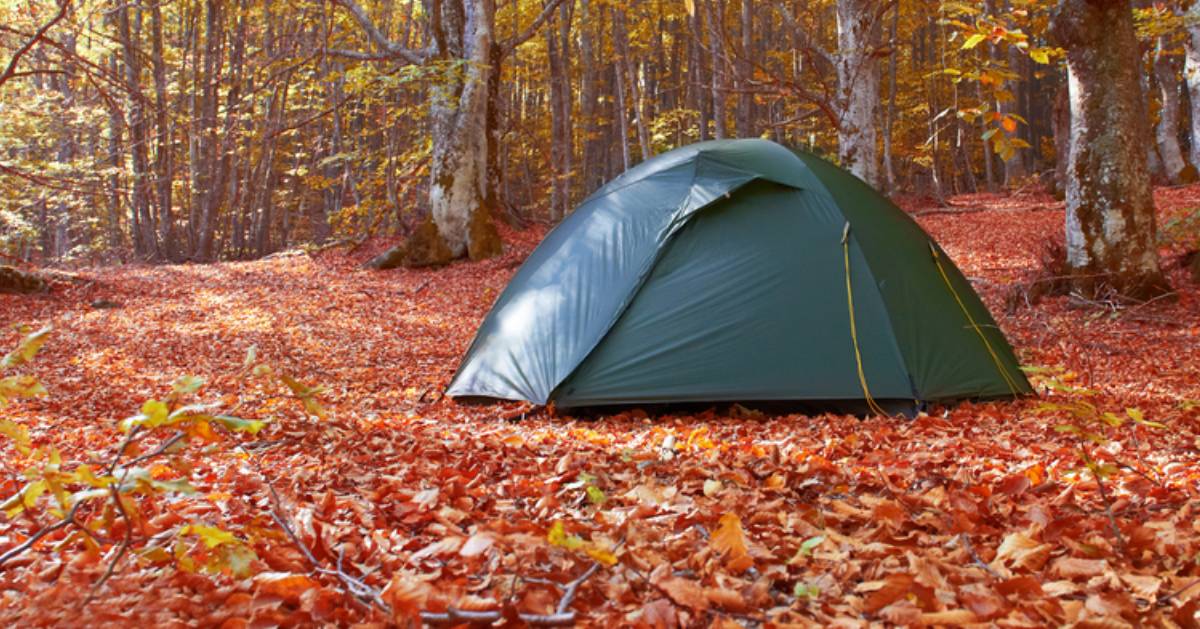 a tent set up in the woods in the fall, leaves on the ground