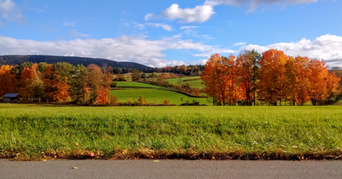 a scenic fall day with an open field and fall foliage on the trees