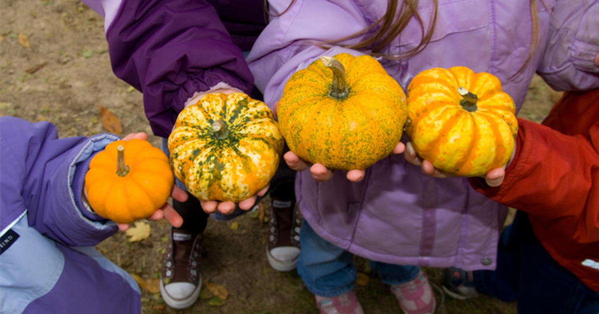 the hands of four kids, each holding a gourd