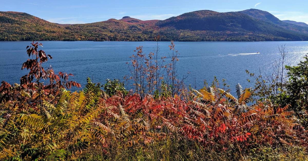 fall view from overlook