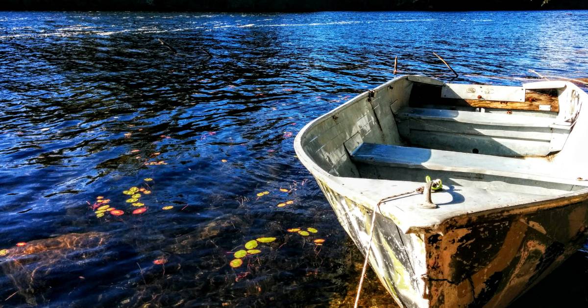 a rowboat in the water in the fall