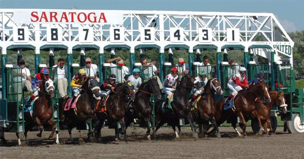 racehorses leaving starting gate at saratoga