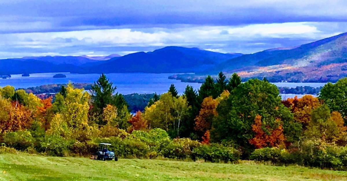 golf cart on field, trees with foliage